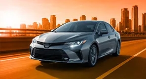 Passenger vehicles